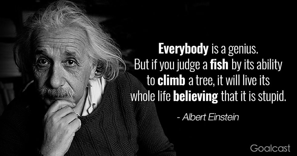 Albert Einstein Quotes - Homecare24