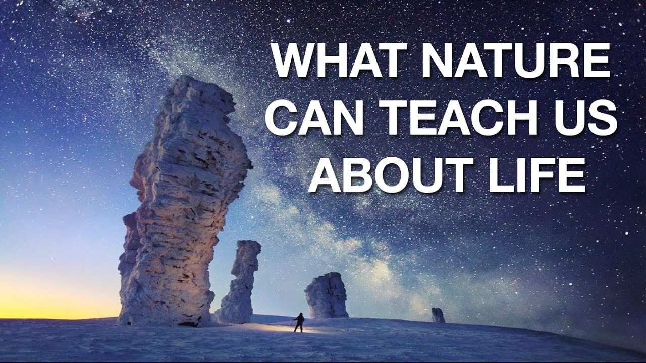 what-nature-can-teach-us-about-life-goalcast