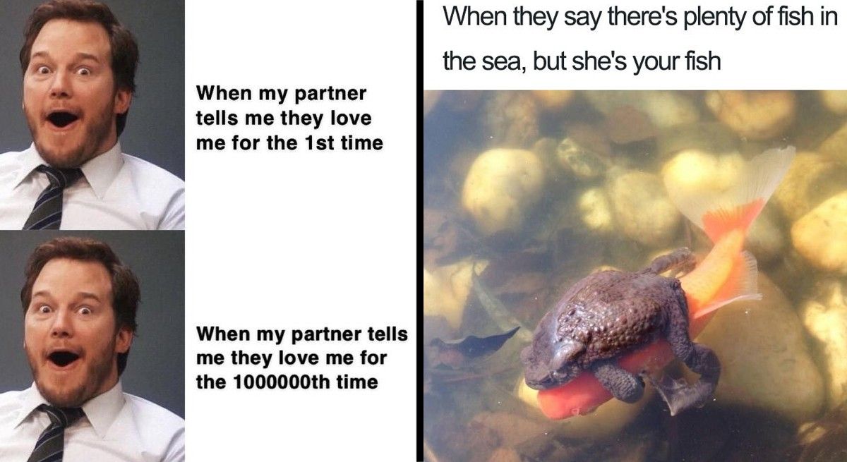 The 24 Most Inspirational Relationship Memes