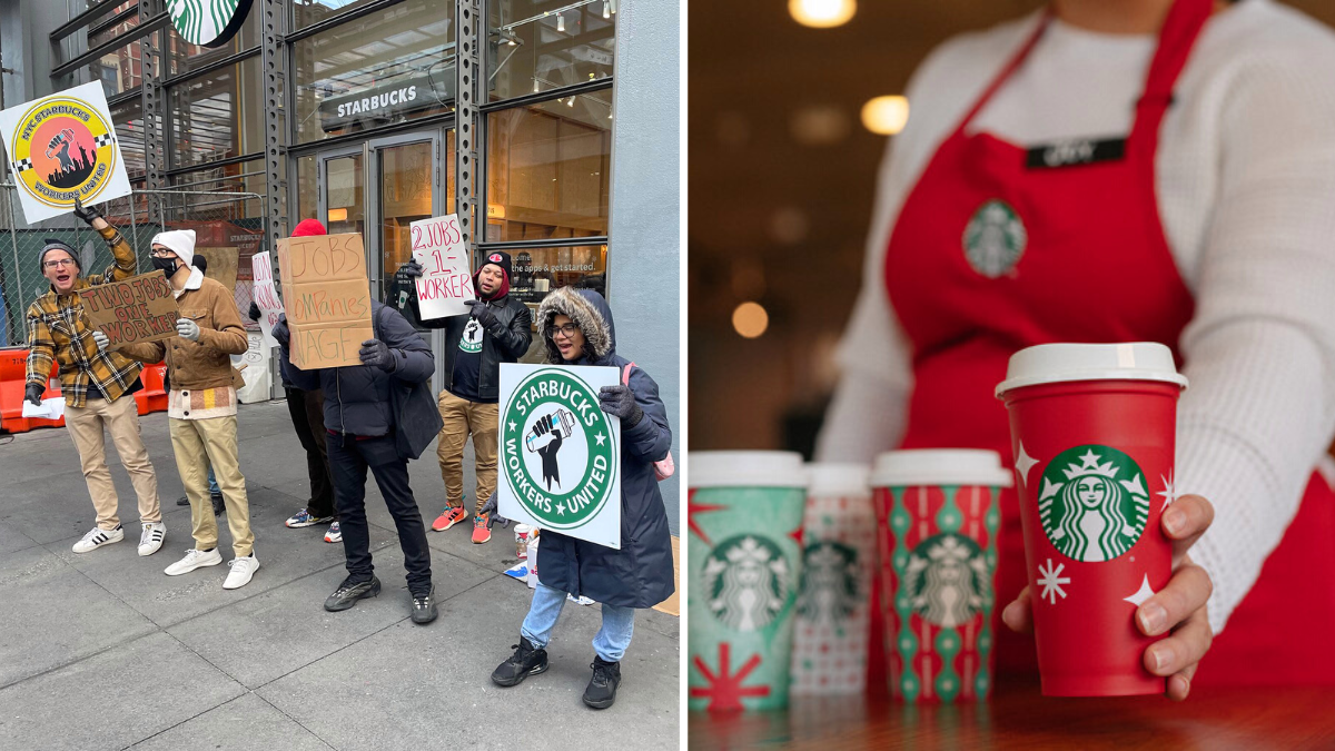 Shoppers call out Starbucks for its new festive cups begging the chain to  stop hoarding popular collaboration