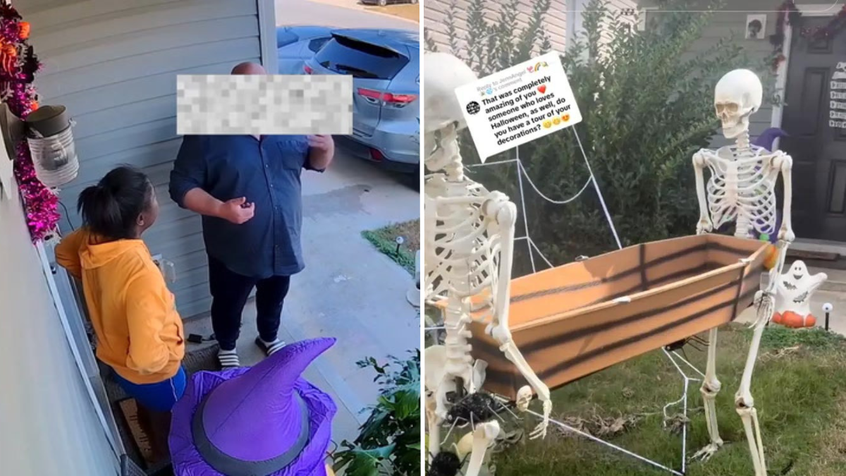 Neighbors Surprise｜TikTok Search